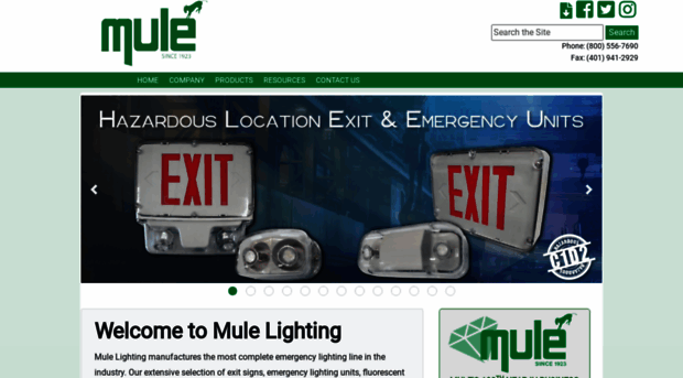 mulelighting.com