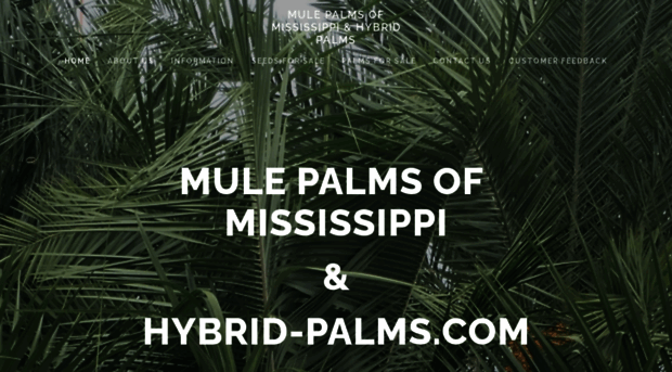 mulepalmsofmississippi.com