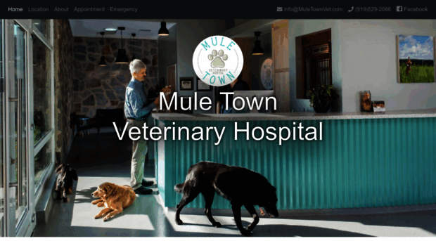 muletownvet.com