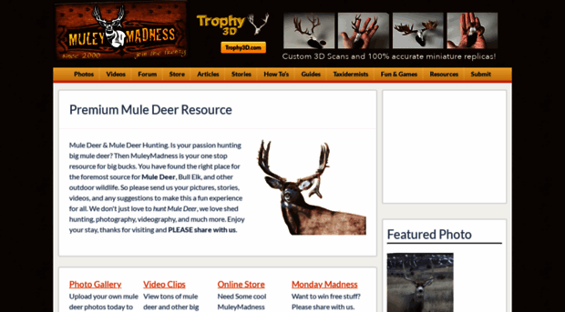 muleymadness.com