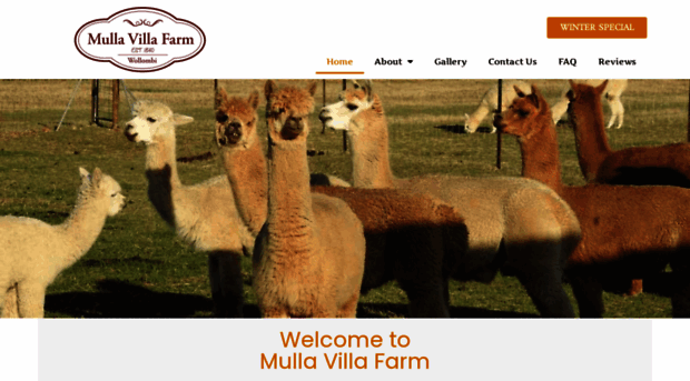 mullavilla.com.au