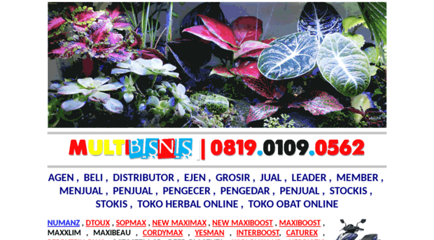 multibisnis.com