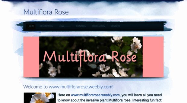 multiflorarose.weebly.com