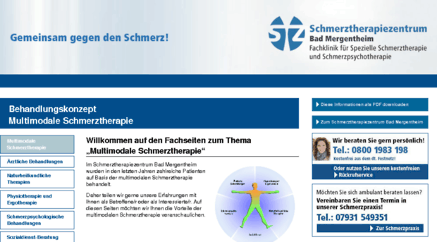 multimodale-schmerztherapie.com