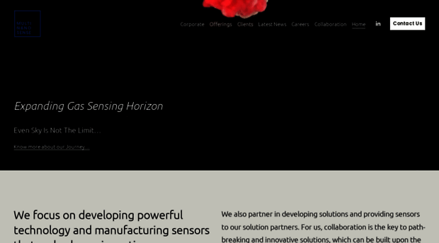 multinanosense.com