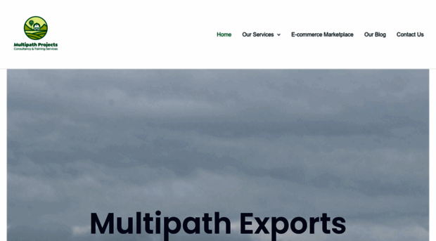 multipathexports.com.ng