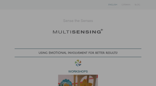 multisensingplus.com