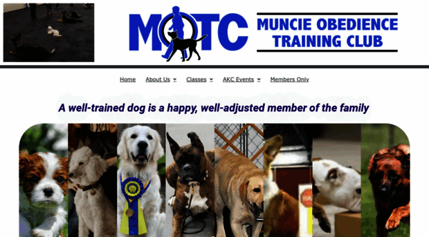 munciedogtraining.com