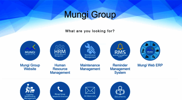 mungigroup.in