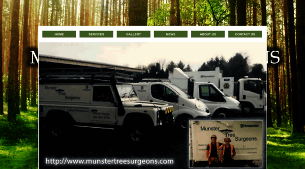 munstertreesurgeons.com