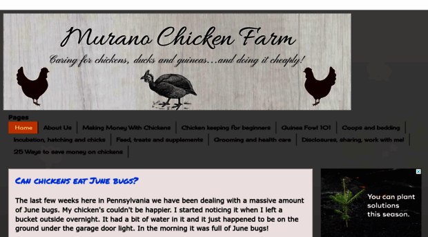 muranochickenfarm.com