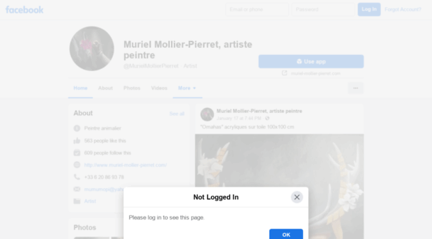 muriel-mollier-pierret.com