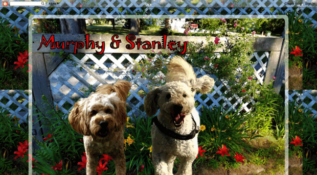 murphyandstanley.blogspot.ca