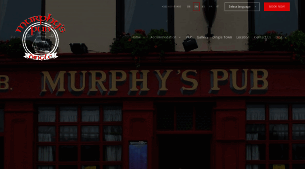 murphyspub.ie