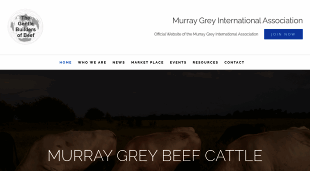 murraygrey.org