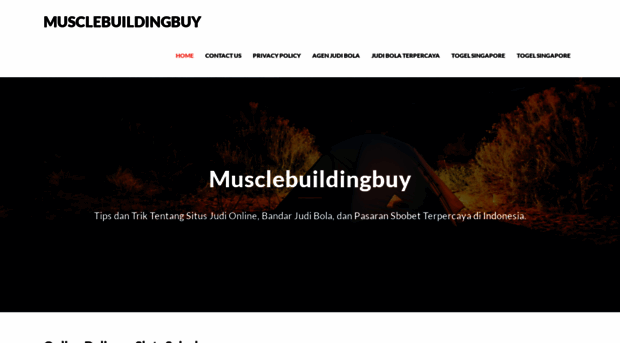 musclebuildingbuy.com