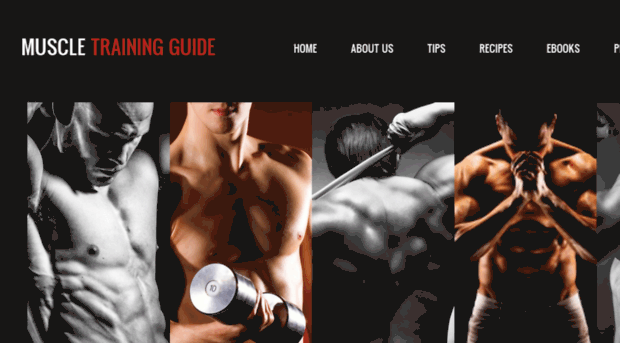 muscletrainingguide.com