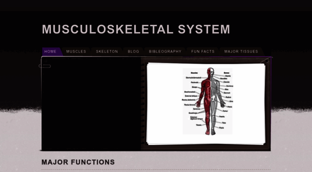 musculo-skeletal-system.weebly.com