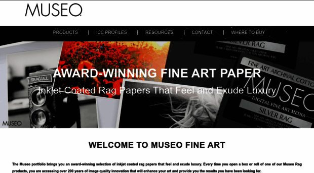 museofineart.com