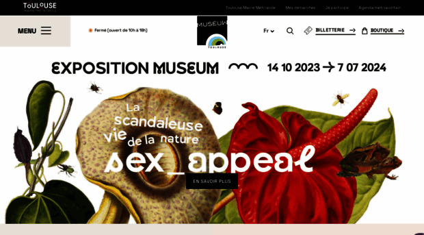 museum.toulouse.fr