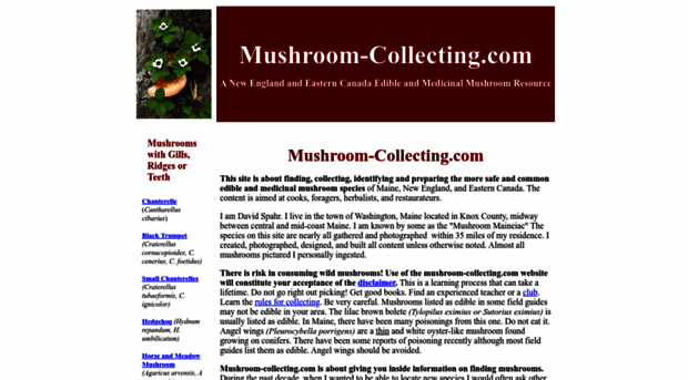 mushroom-collecting.com