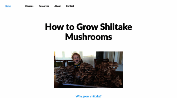 mushroom.guide