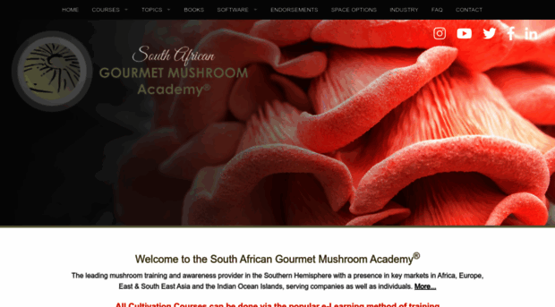 mushroomacademy.co.za