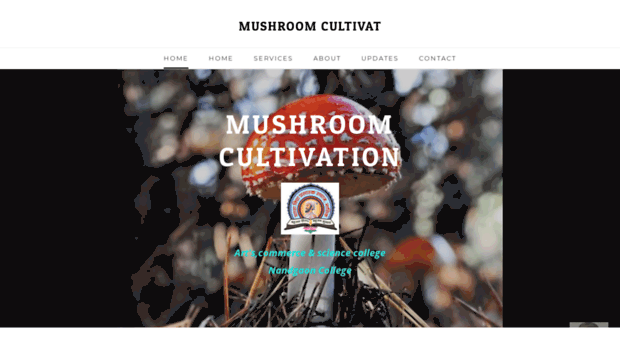 mushroomcultivation.weebly.com