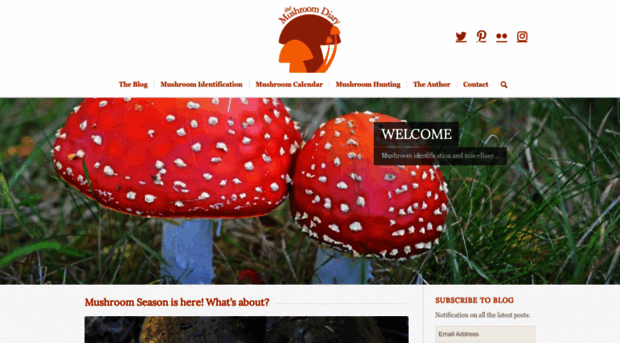 mushroomdiary.co.uk