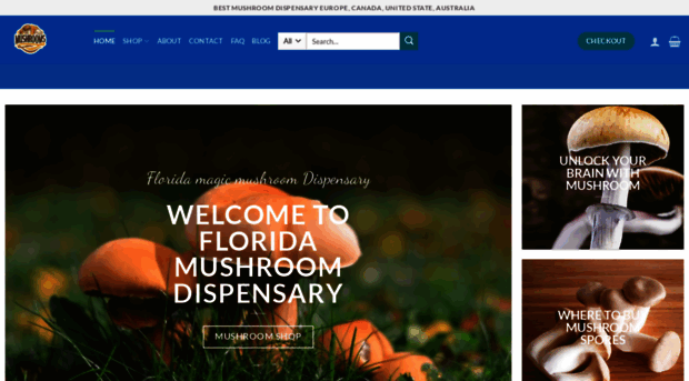 mushroomdispensaryflorida.com