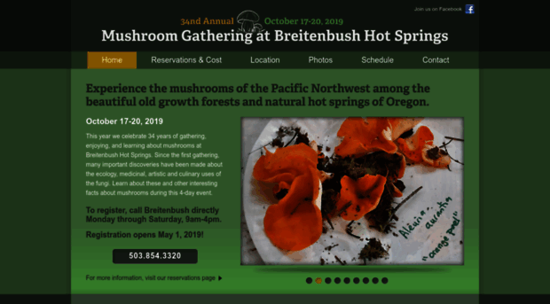 mushroomgathering.com