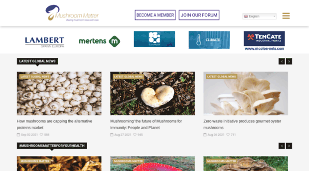 mushroommatter.com