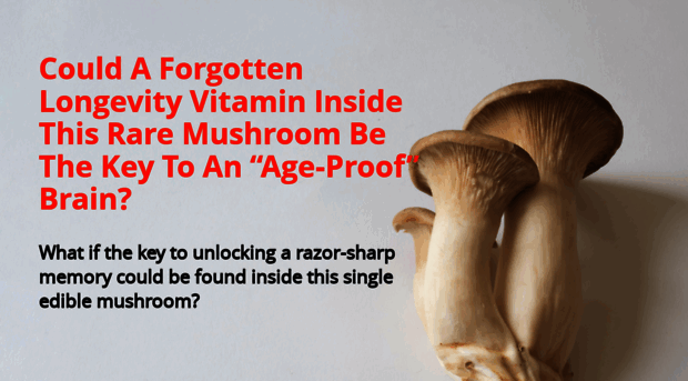 mushroommindboost.com