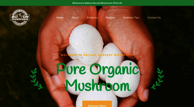 mushroomnh.com