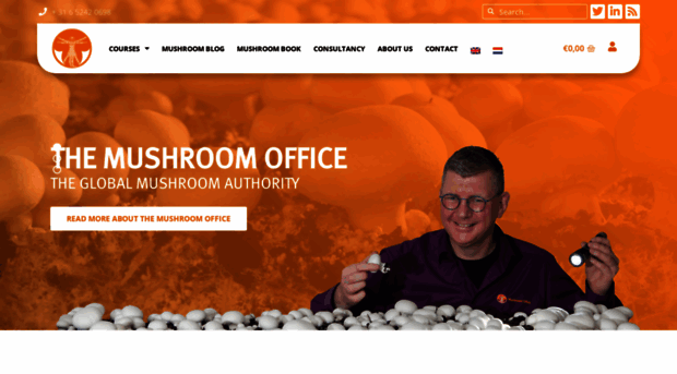 mushroomoffice.com