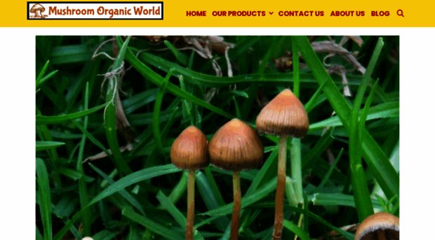 mushroomorganicworld.com