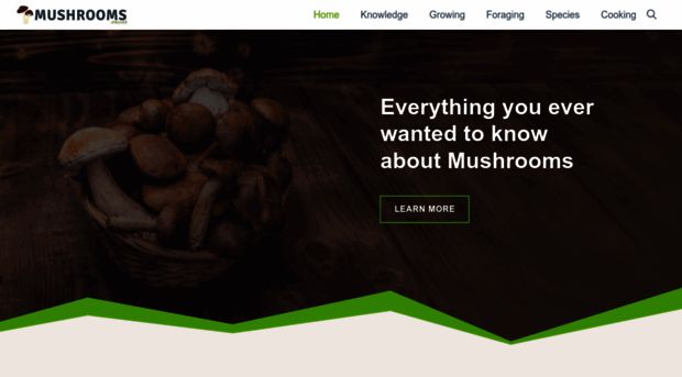 mushrooms.online