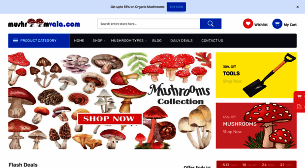 mushroomvala.com