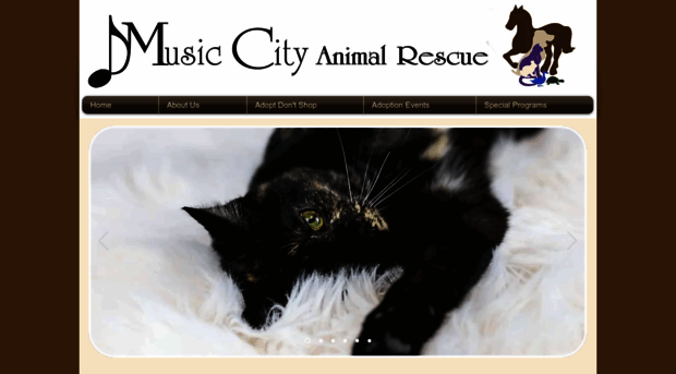 musiccityanimalrescue.com