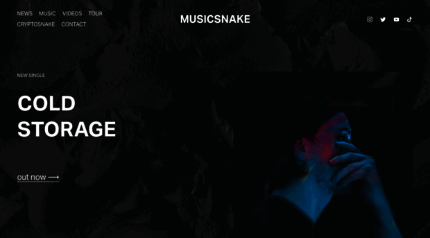 musicsnake.com