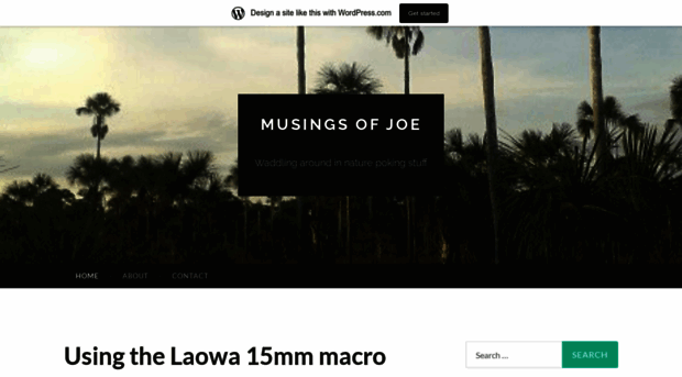 musingsofjoeblog.wordpress.com