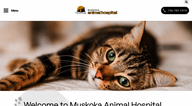 muskokaanimalhospital.com