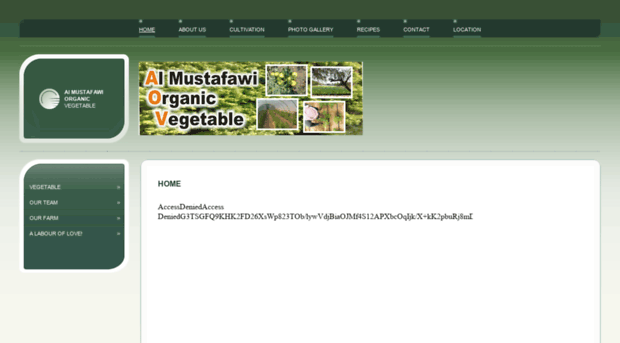 mustafawiorganicvegetable.com