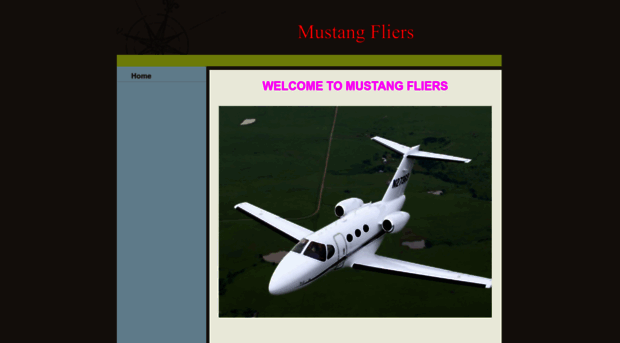 mustangfliers.com