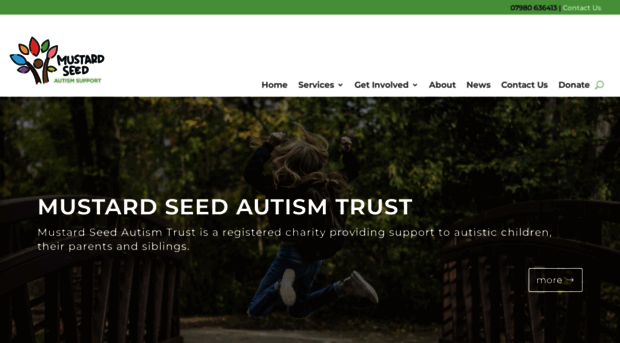 mustardseedautism.co.uk