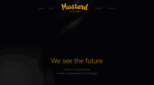 mustardsystems.com