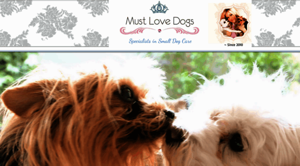 mustlovedogs.co.za