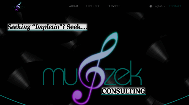 muszekconsulting.com