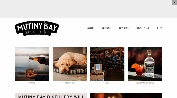 mutinybaydistillery.com