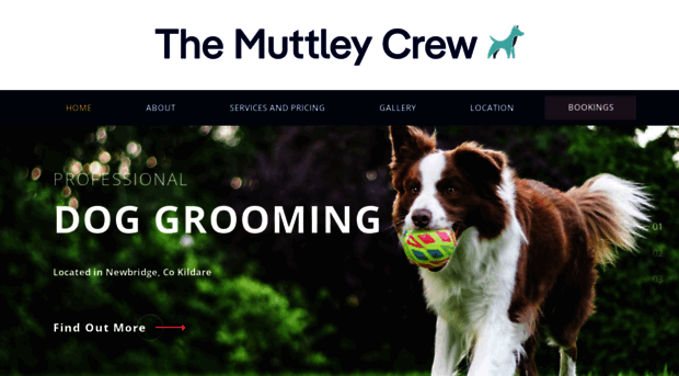 muttleycrew.ie